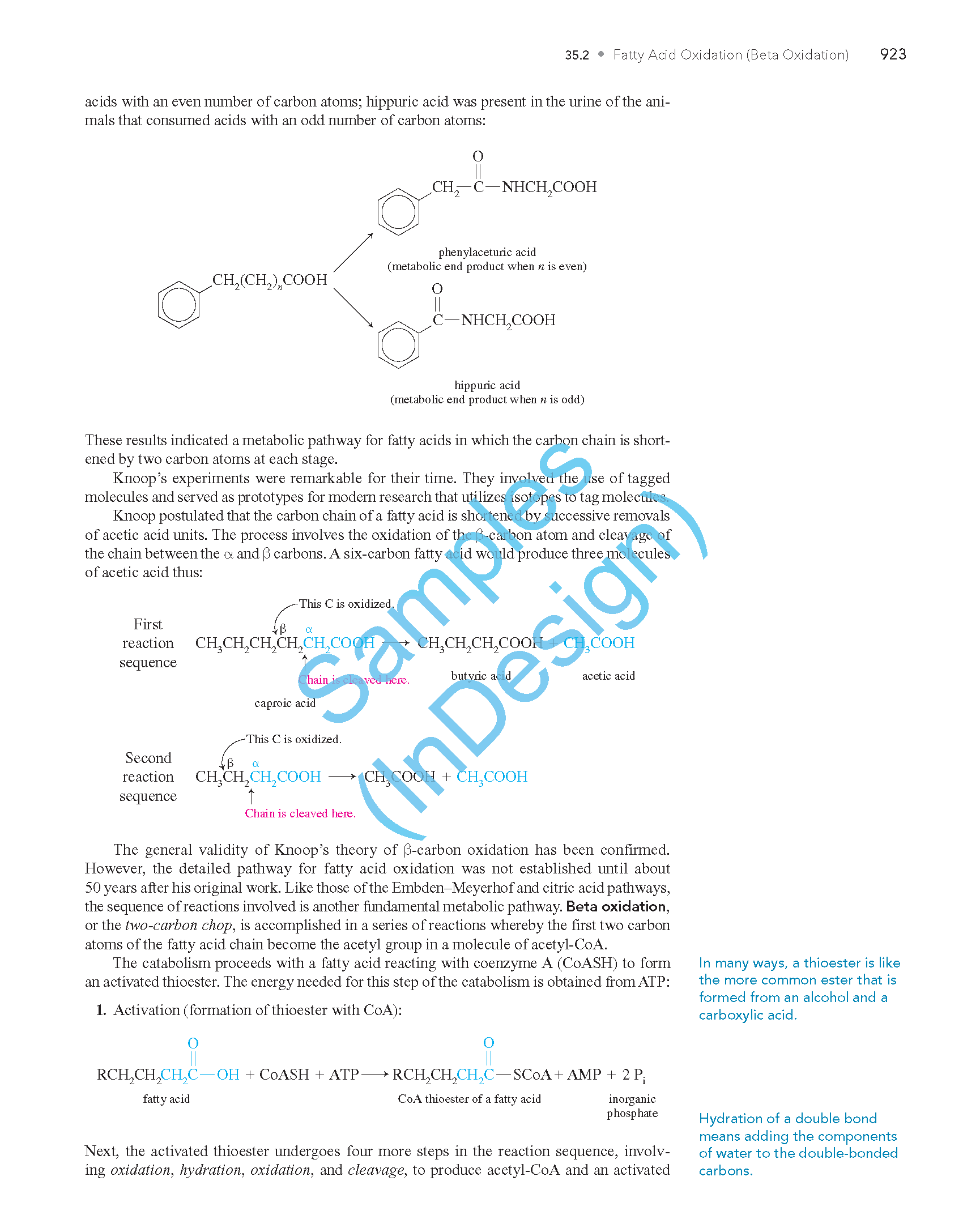 Composition sample 03 from Transforma